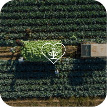 Bilan carbone agriculture