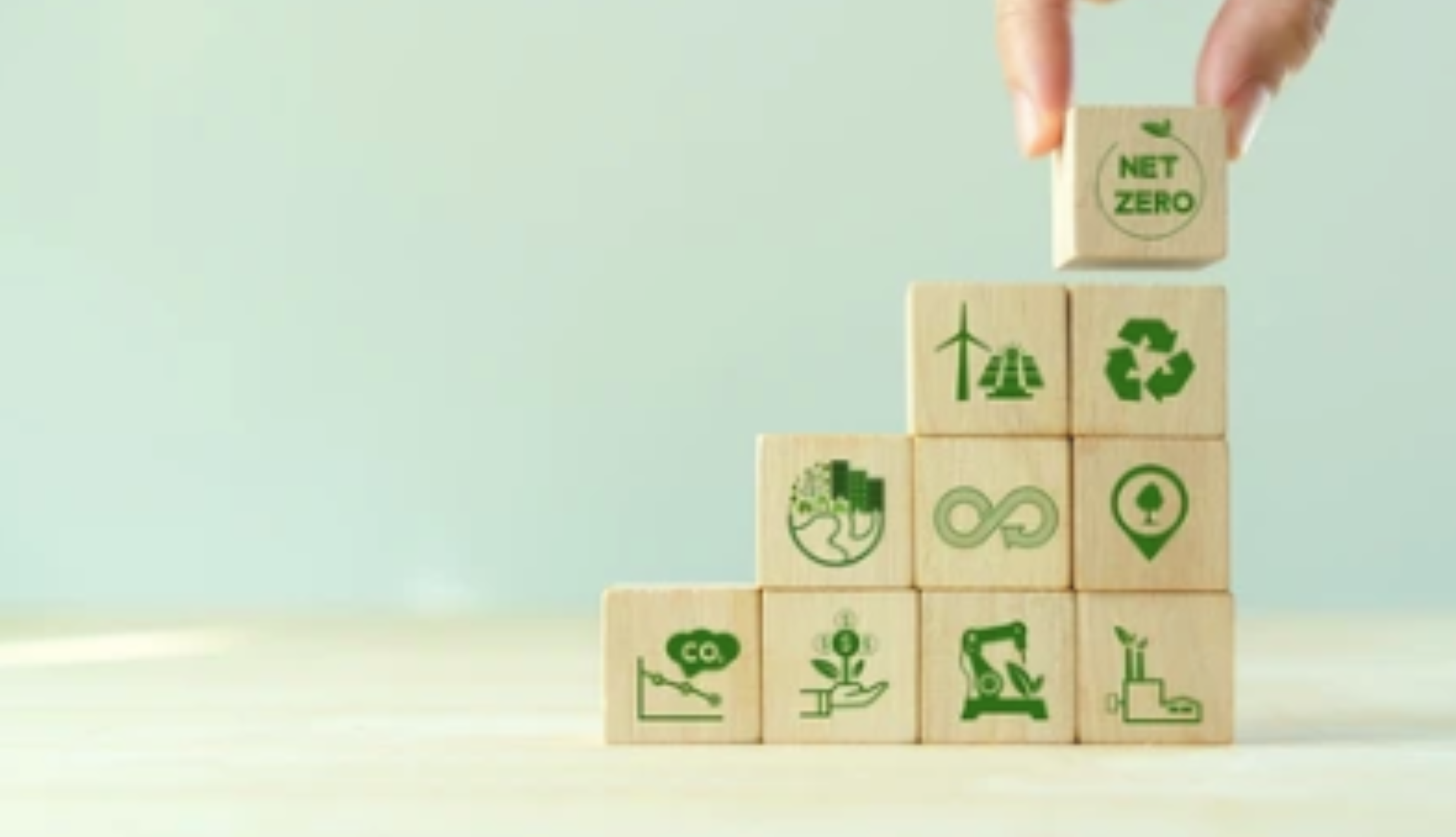 neutralite carbone entreprise emissions