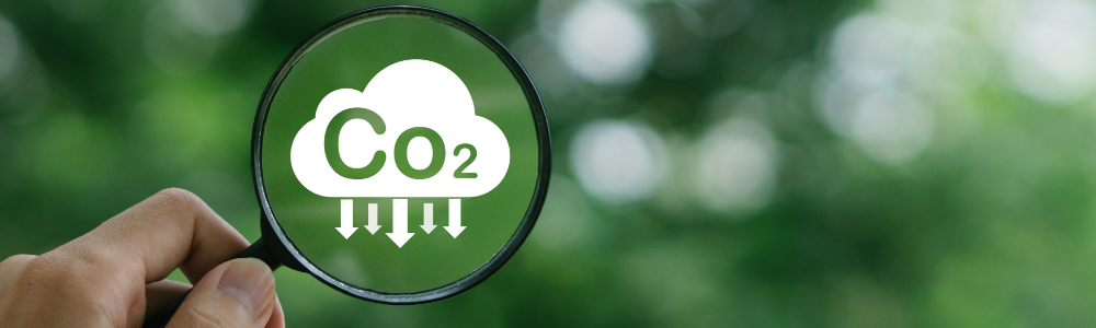 Les-erreurs-a-eviter