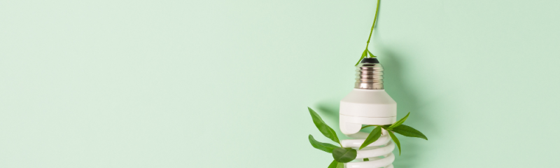 Bilan carbone site web affiche