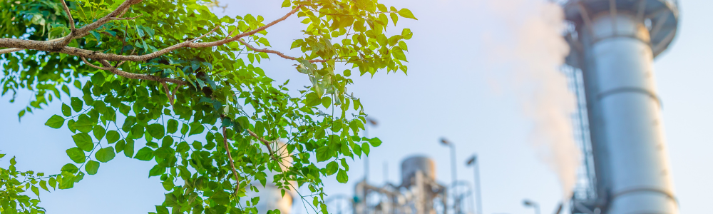 Solutions bas cabone