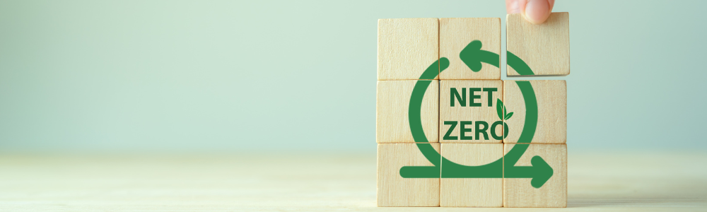 Net Zéro Initiative
