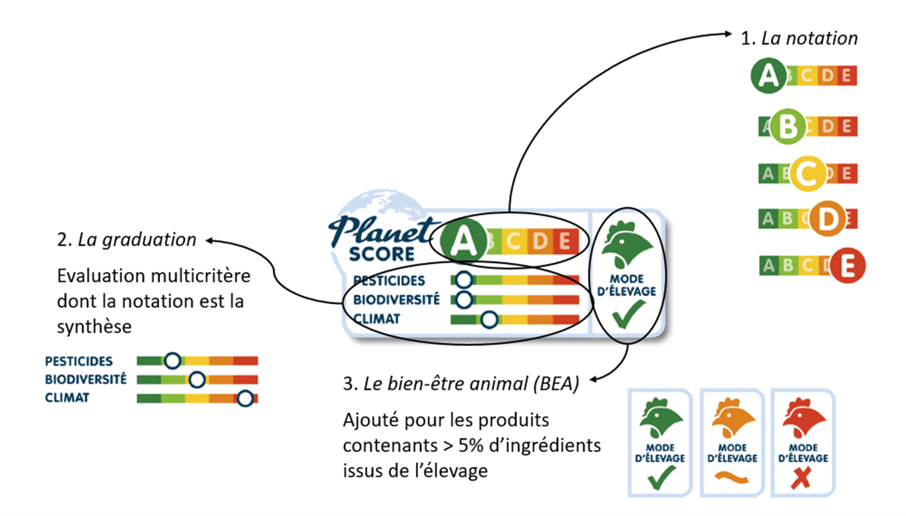 Image1 planet score scaled