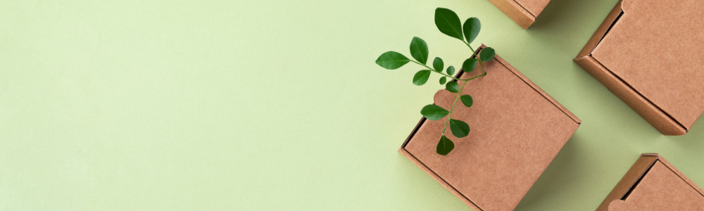 Entreprise éco responsable