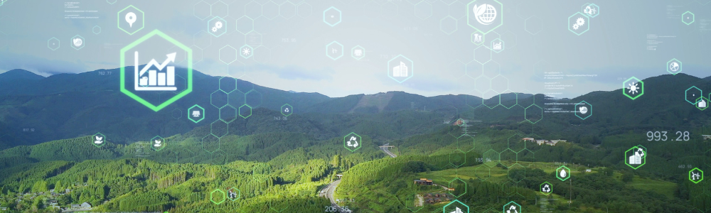 Accompagnement transition