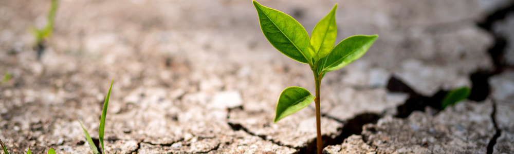 Loi climat et resilience