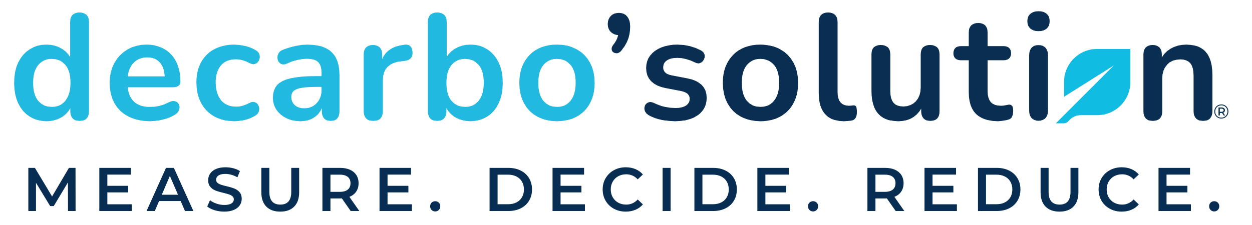 Logo decarboSolution + baseline