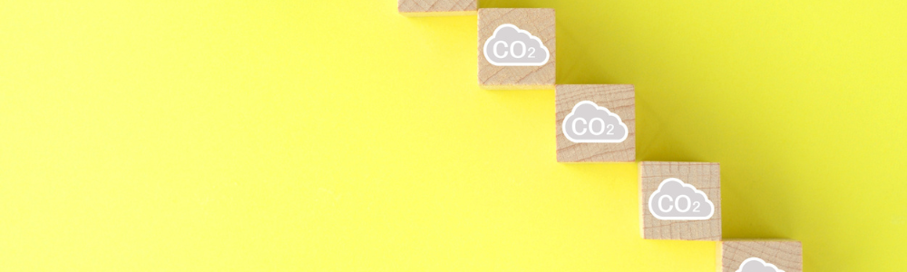 Activité forte émission de carbone