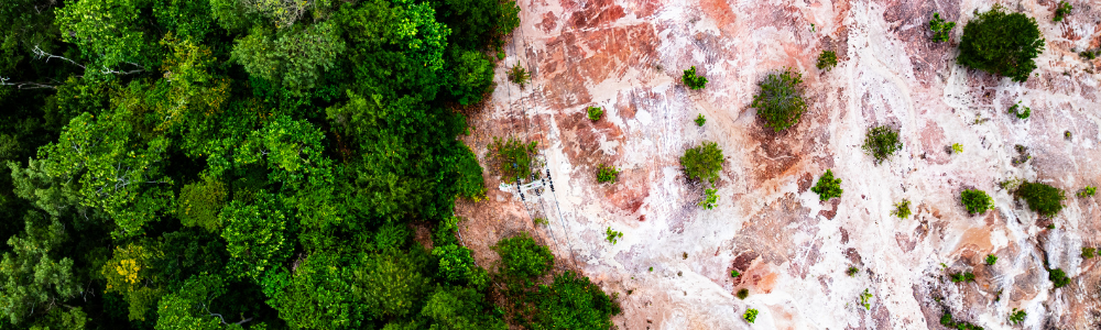 Environmental