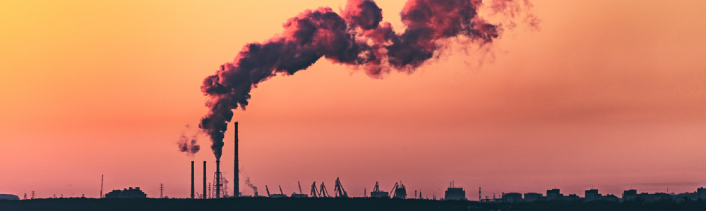 Carbon Protection Value